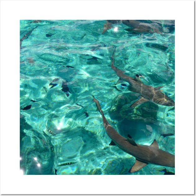 Reef Sharks in Turquoise Water Wall Art by HFGJewels